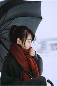 漂亮笨蛋[无限]